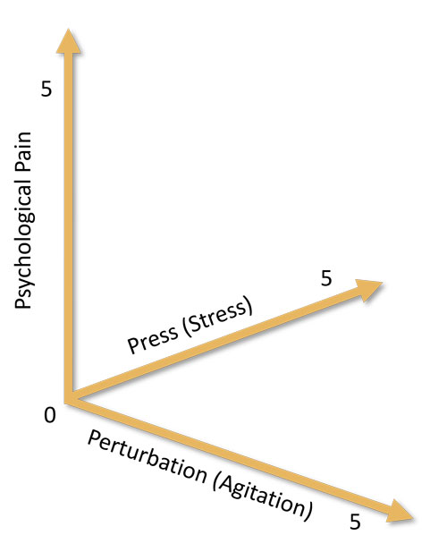 Psychache, Stress, Perturbation, the three axes of the cubic model proposed by Shneidman