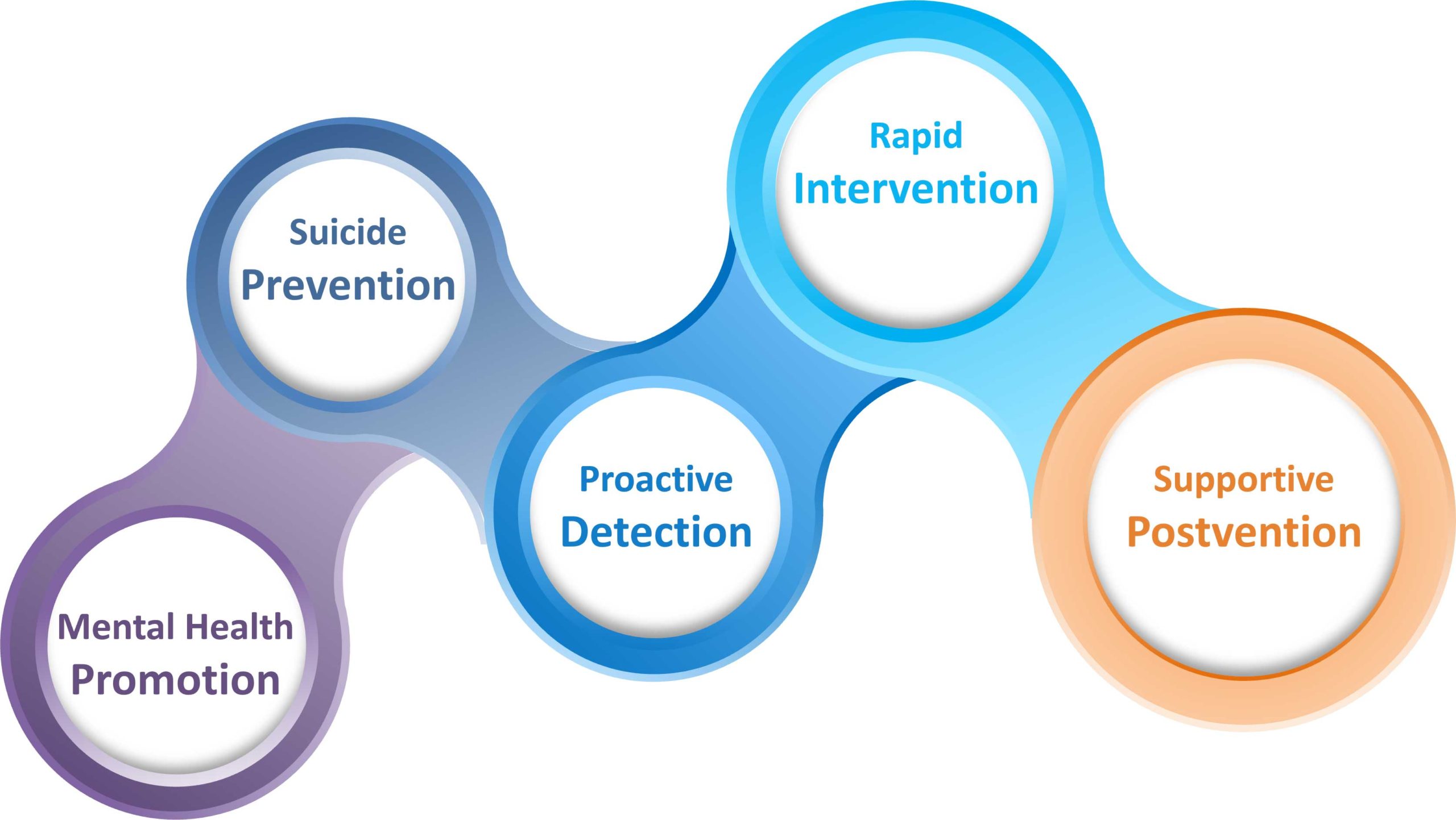 Five components of suicide prevention