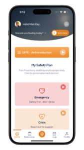Safe View on Safe Guide Life Application